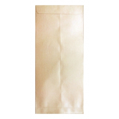 Brown Paper Envelope 11x5 inch