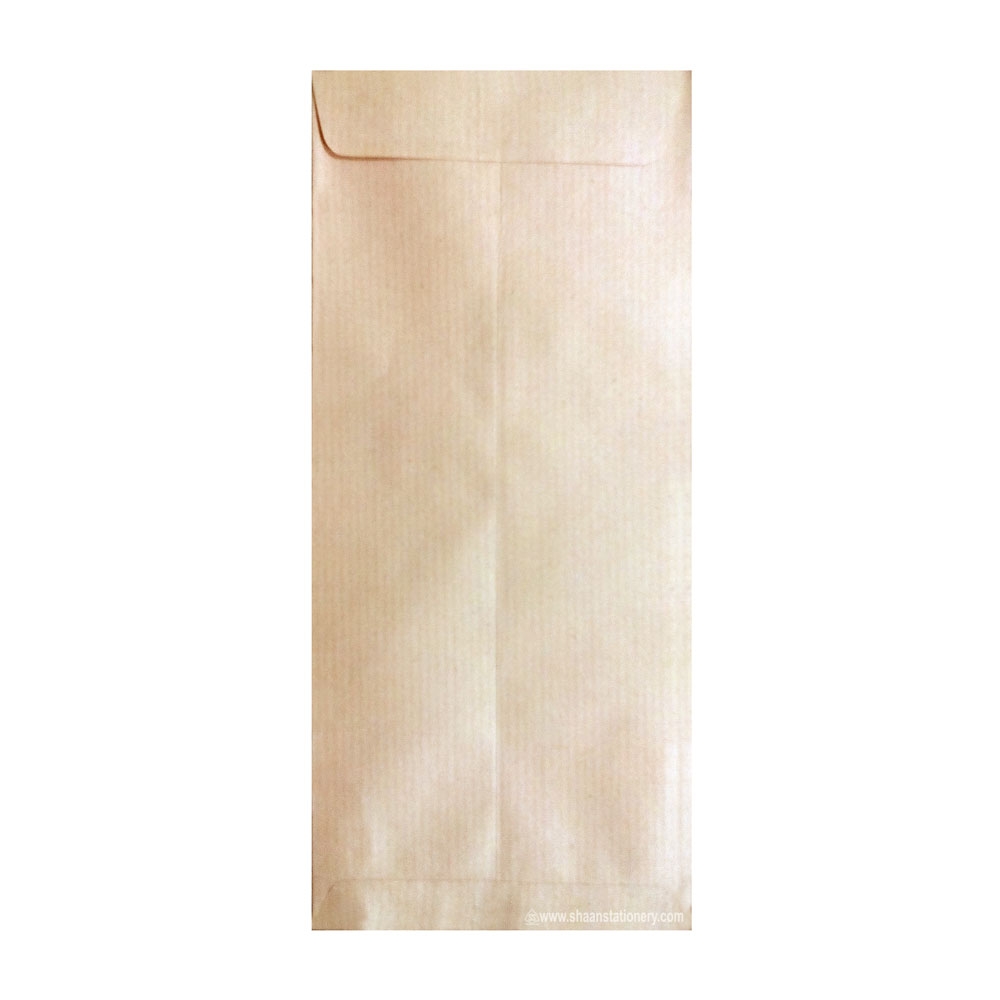 Brown Paper Envelope 9x4 inch