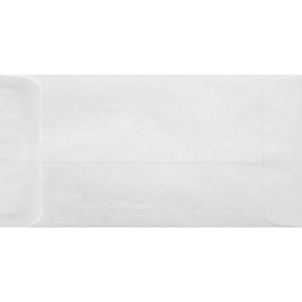 White Paper Envelope 9x4 inch